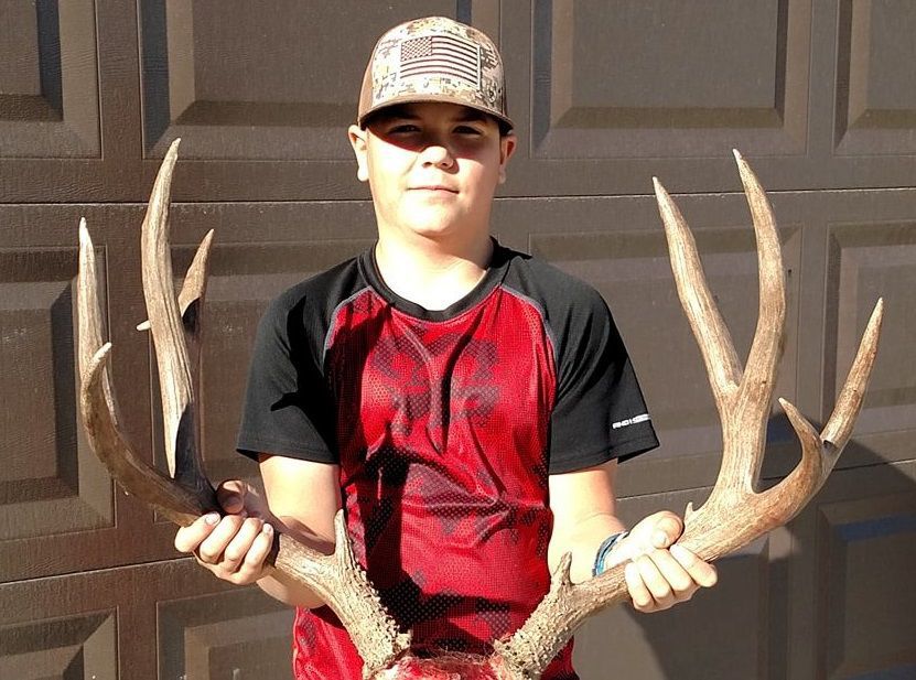 Stoeberl buck